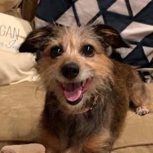 Meet your Posher, Joe